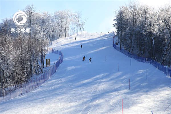 滑雪場建設價格
