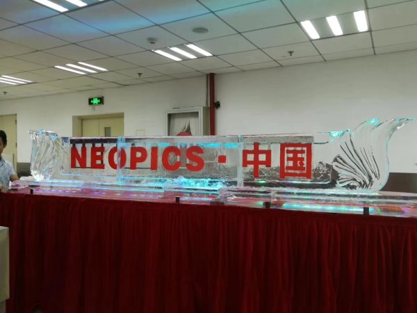 冰雕公司慶典 冰雕公司慶典