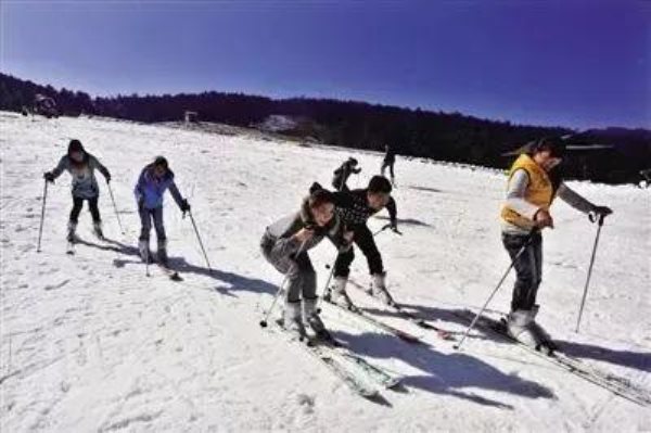 黑龍江滑雪看冰雕